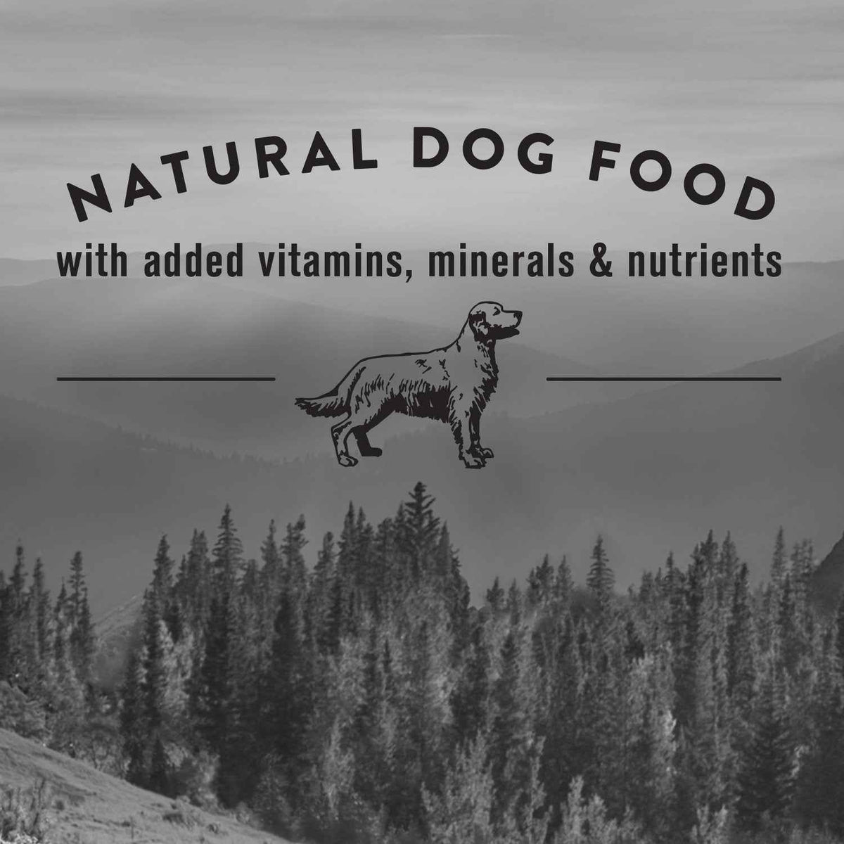 Nature’s Recipe Adult Grain Free Lamb, Sweet Potato & Pumpkin Recipe Dog Food 5.4 kg 🍁 All In One Marketplace Canada