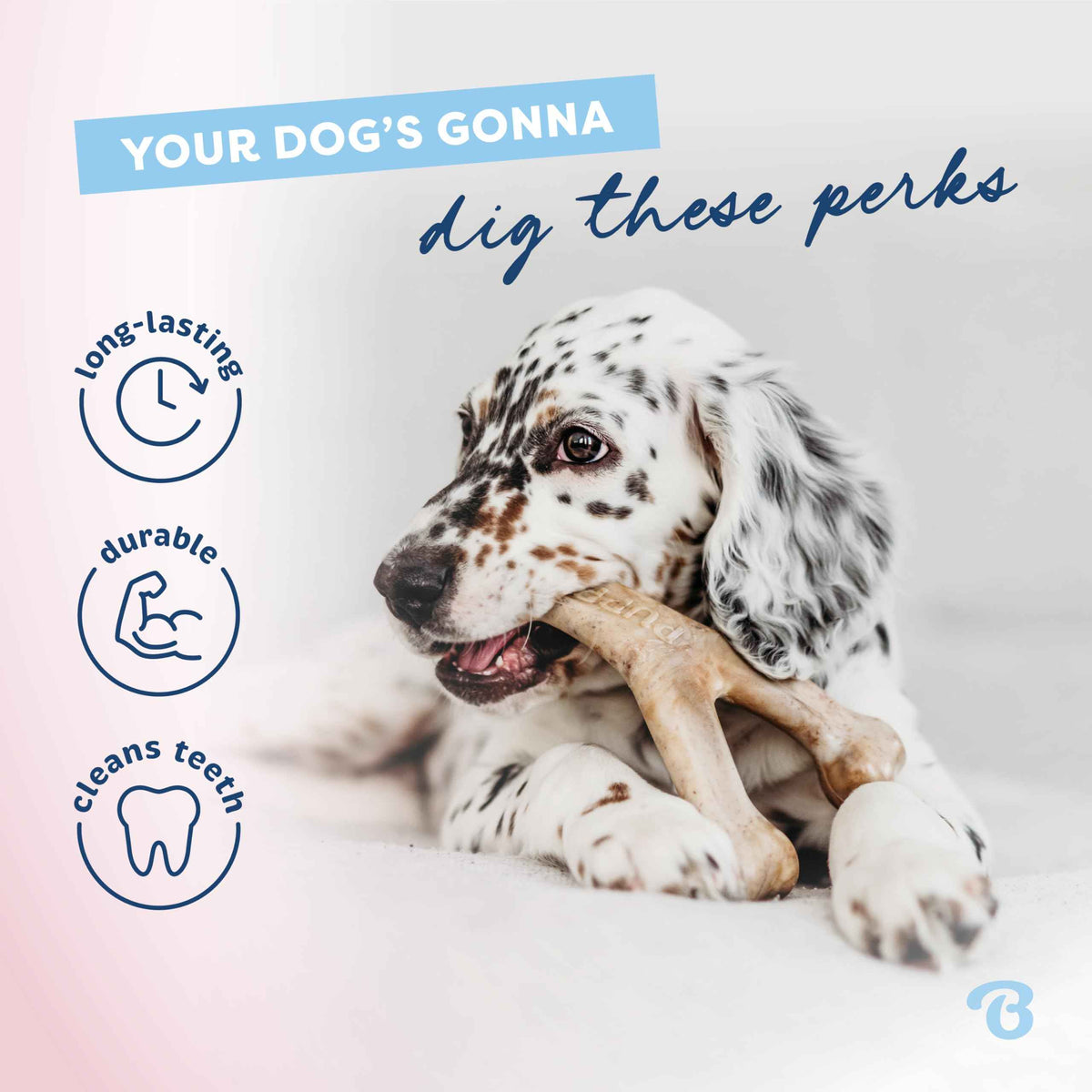 Benebone Puppy 4-Pack Dog Chew Toys for Gentle Chewers, Dog Bones, Small 🍁 All In One Marketplace Canada