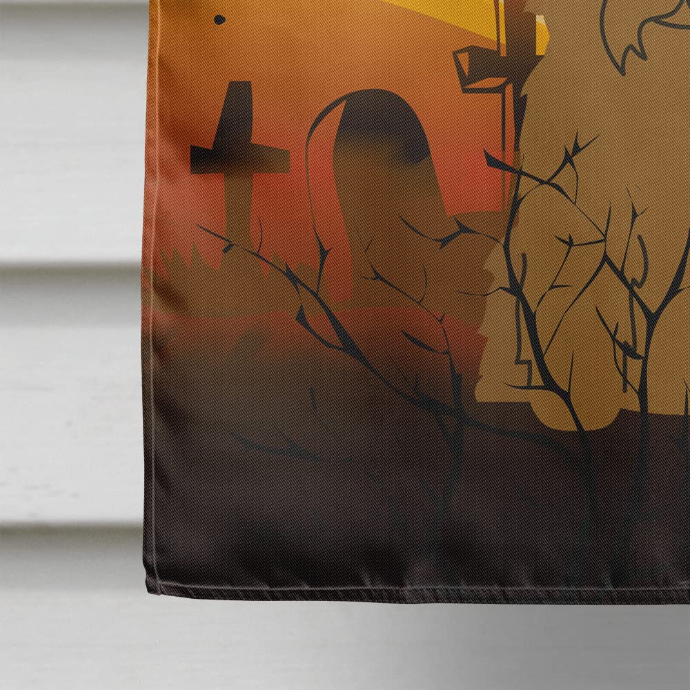 Caroline's Treasures BB4326CHF Halloween Glen of Imal Tan Flag Canvas House Size, Large, Multicolor