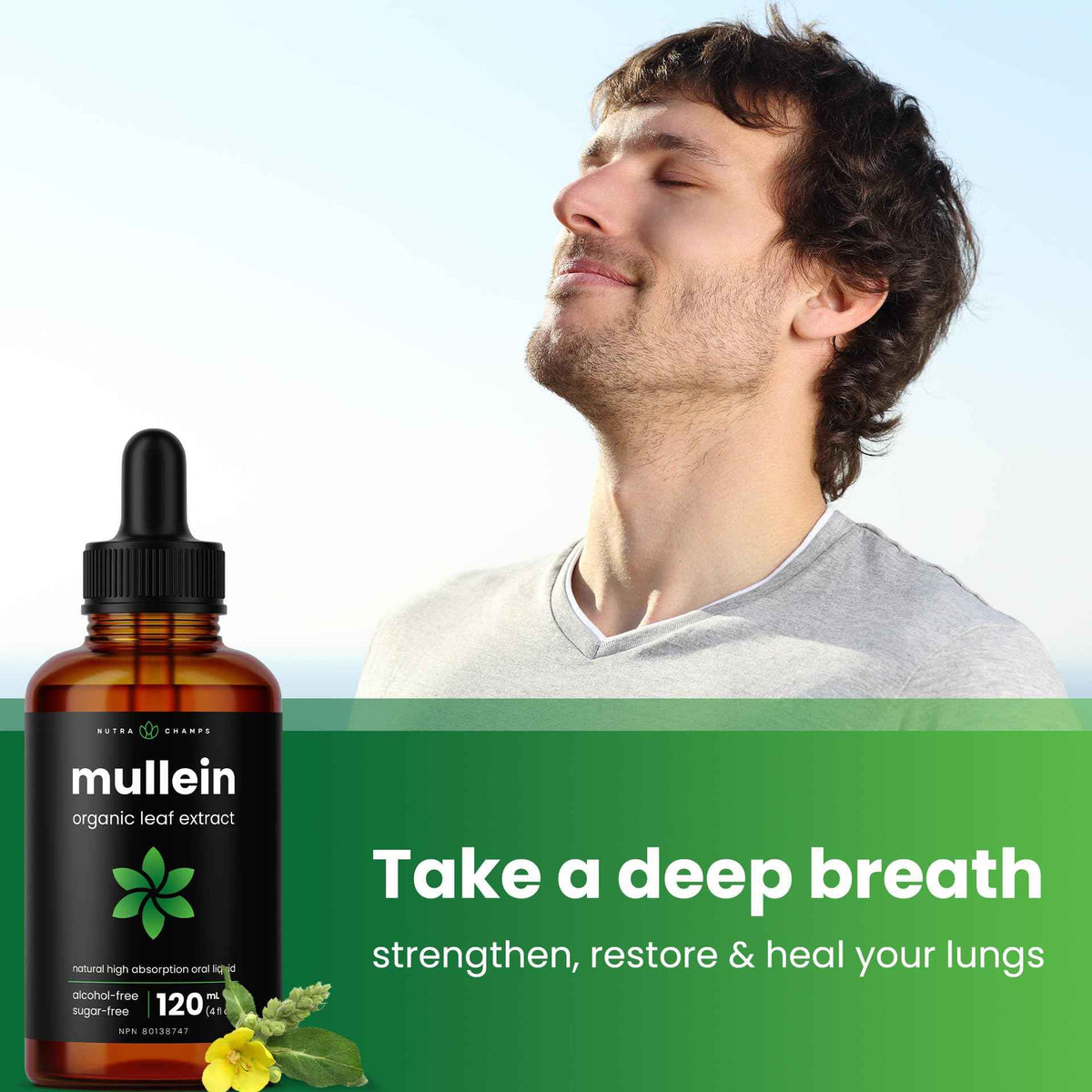 Organic Mullein Leaf Extract for Lungs - 4 Fl Oz - Herbal Tincture for Lung Cleanse & Flush - Natural Mullein Tea Alternative - Mullein Supplement Drops for Lungs - 1,000mg Equivalent Per Serving 🍁 All In One Marketplace Canada