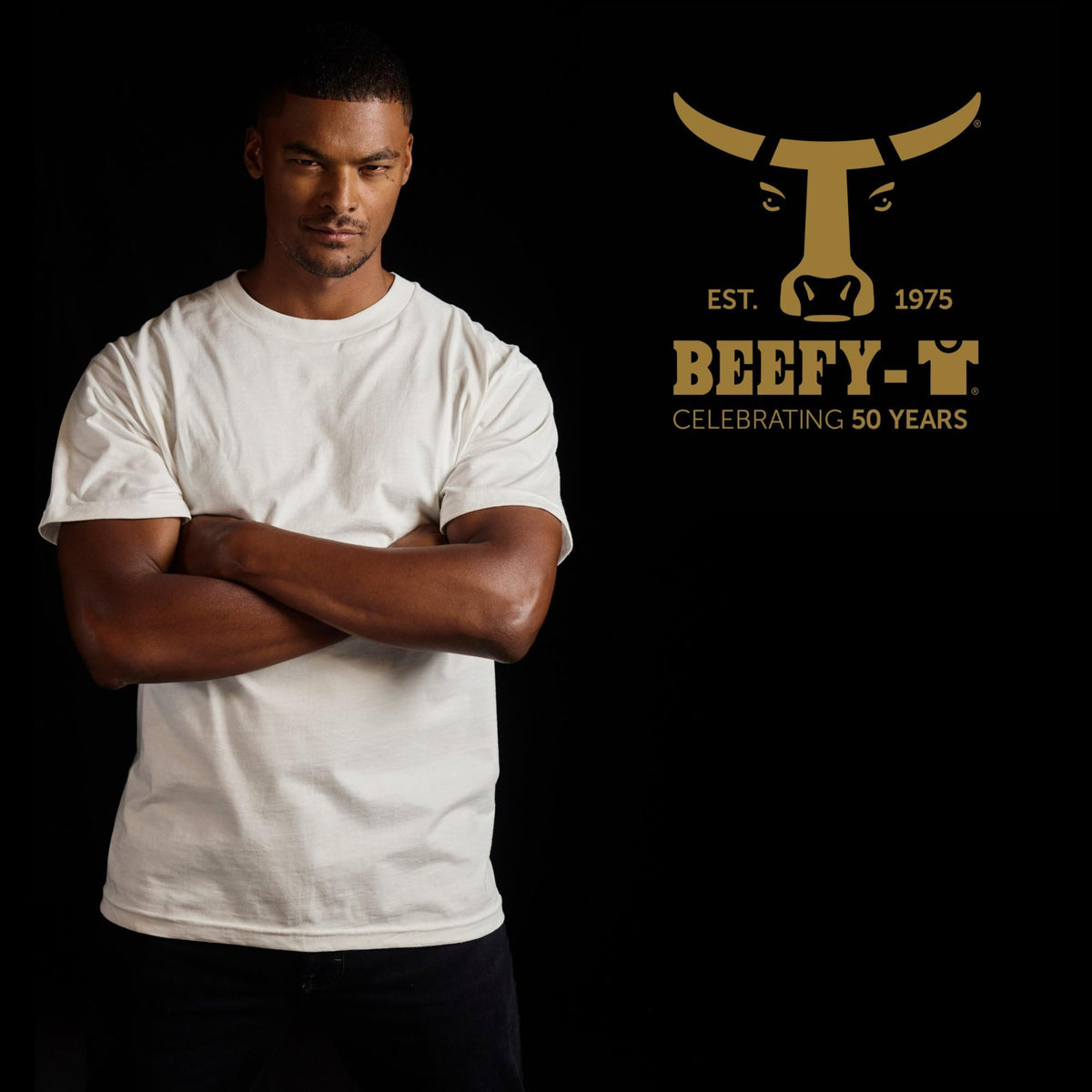 Hanes Size Men's Beefy Short Sleeve Tee Value Pack (2-Pack), White, X-Large/Tall 🍁 All In One Marketplace Canada