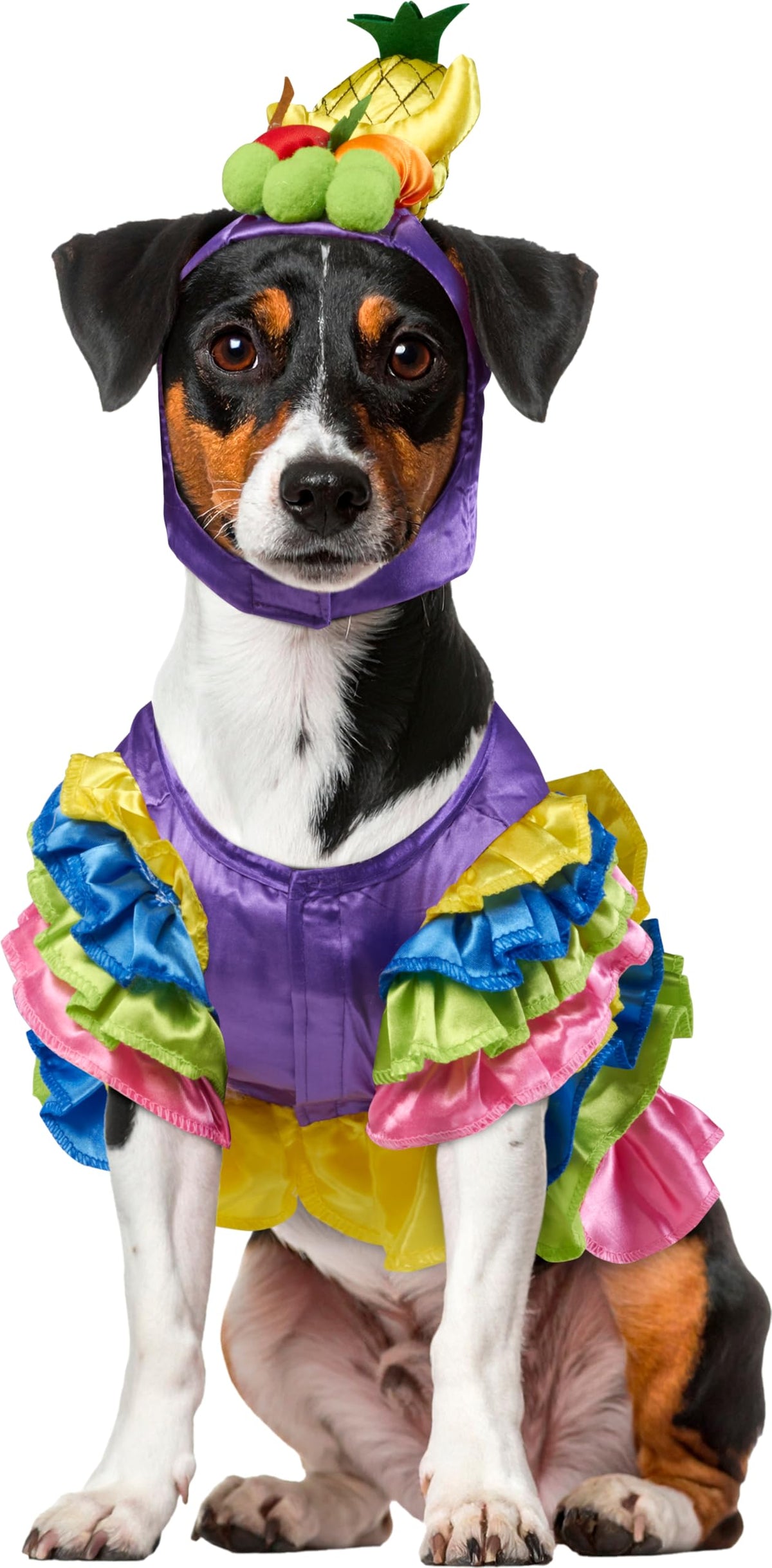 Rubies Brazilian Bombshell Pet Costume, X-Large for Themed Parties and Halloween
