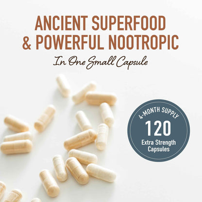 Lion’s Mane Supplement & Nootropic for Mental Clarity | 4 Month Supply | Performance & Memory Support | Antioxidant Rich & Immunomodulating Mushroom | Extra Strength Lions Mane 500mg | Non-GMO 120ct 🍁 All In One Marketplace Canada