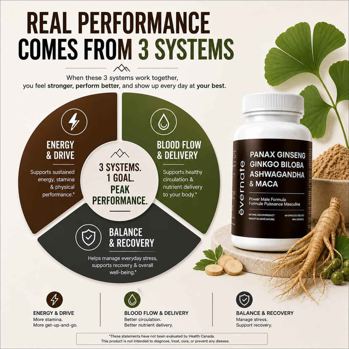 ONE Maca, Ginkgo Biloba, Panax Ginseng, Tribulus, Tongkat Ali, L-Arginine & Ashwagandha – Energy, Stamina, Endurance & Vitality Support – Made in Canada 🍁 All In One Marketplace Canada