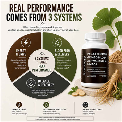 ONE Maca, Ginkgo Biloba, Panax Ginseng, Tribulus, Tongkat Ali, L-Arginine & Ashwagandha – Energy, Stamina, Endurance & Vitality Support – Made in Canada 🍁 All In One Marketplace Canada
