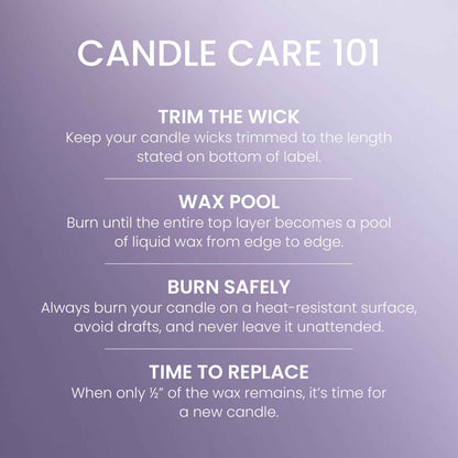 Yankee Candle 3 Wick Candle Jar, Scented Candle with up to 40 Hours of Burn Time, Premium Plant Wax Blend for Consistent Long Lasting Scent from First to Last Burn, Lilac Blossom 🍁 All In One Marketplace Canada