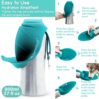 LumoLeaf Portable Dog Water Bottle 800 ml, Stainless Steel Pet Travel Water Bottle Dispenser for Walking, Hiking and Outdoor, Portable Water Bowl for Large Dogs (Blue) 🍁 All In One Marketplace Canada