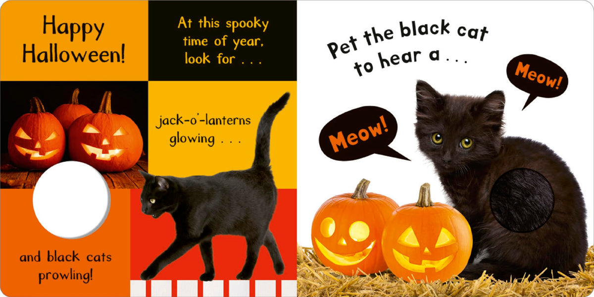 Noisy Halloween: My First Touch and Feel Sound Book