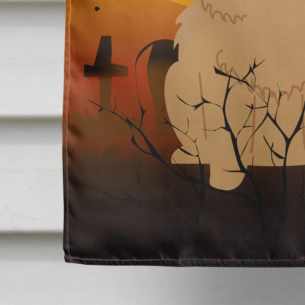Caroline's Treasures BB4410CHF Halloween Chow Chow Cream Canvas House Size Flag, Large, Multicolor