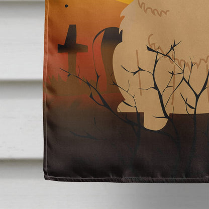 Caroline's Treasures BB4410CHF Halloween Chow Chow Cream Canvas House Size Flag, Large, Multicolor