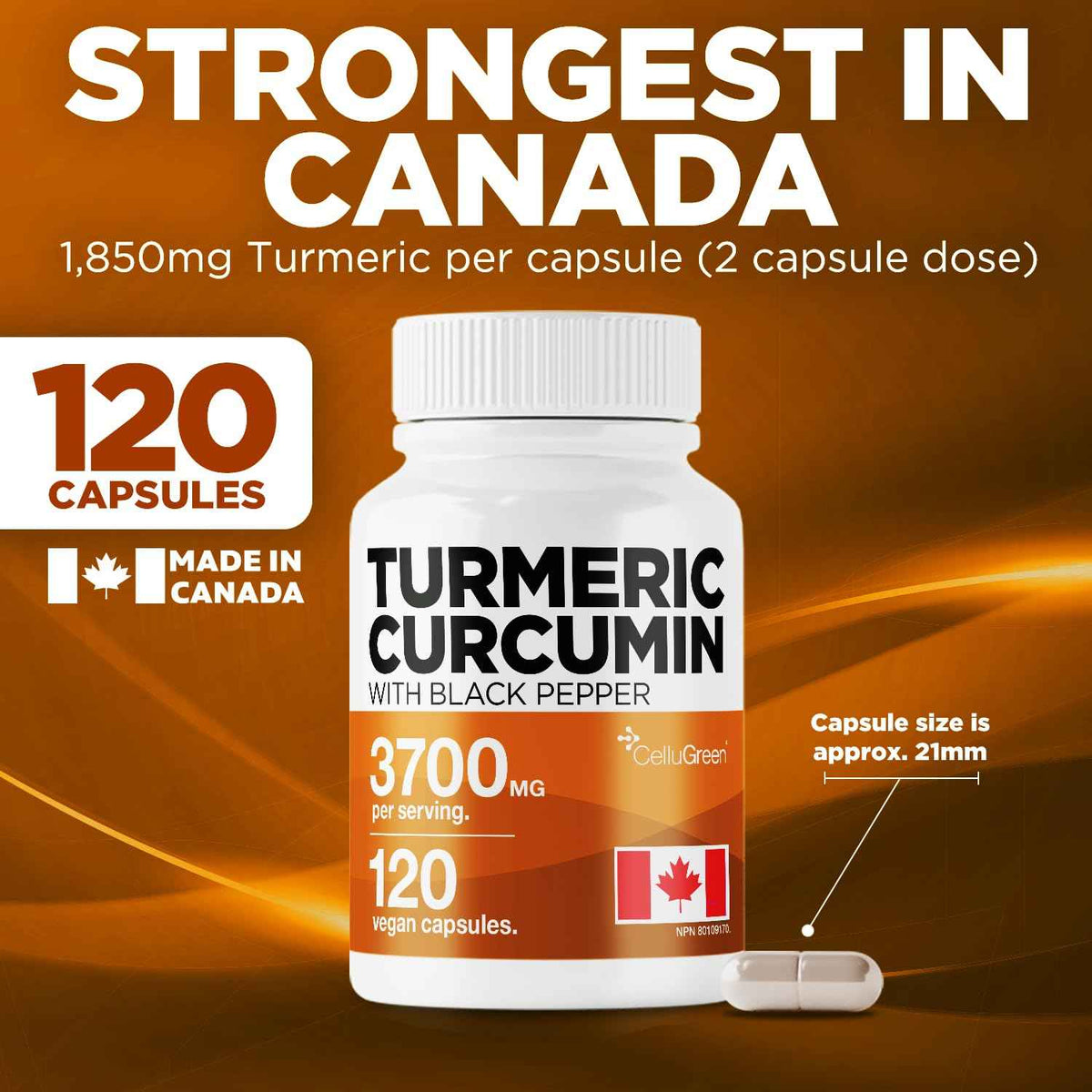 CelluGreen Turmeric Curcumin 3,700mg with Black Pepper Extract — 95% Curcuminoids for Joint Pain Relief & Anti-Inflammatory Support | Curcuma Longa | Non-GMO, Gluten-Free, Made in Canada | 120 Capsules 🍁 All In One Marketplace Canada