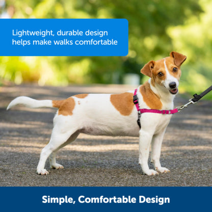 PetSafe Easy Walk Harness, No Pull Harness for Dogs, Adjustable Harness with Included Matching Lead, Black, Large 🍁 All In One Marketplace Canada