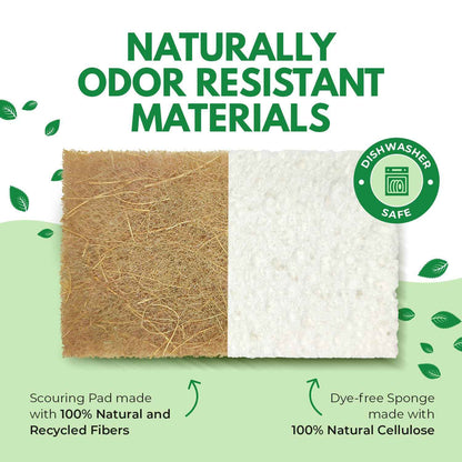AIRNEX 10 Pack Biodegradable Natural Kitchen Sponges - Eco Friendly Cellulose and Coconut Dish Scrubbers - Odourless, Non Scratch, Dual Sided Multipurpose Sponges 🍁 All In One Marketplace Canada