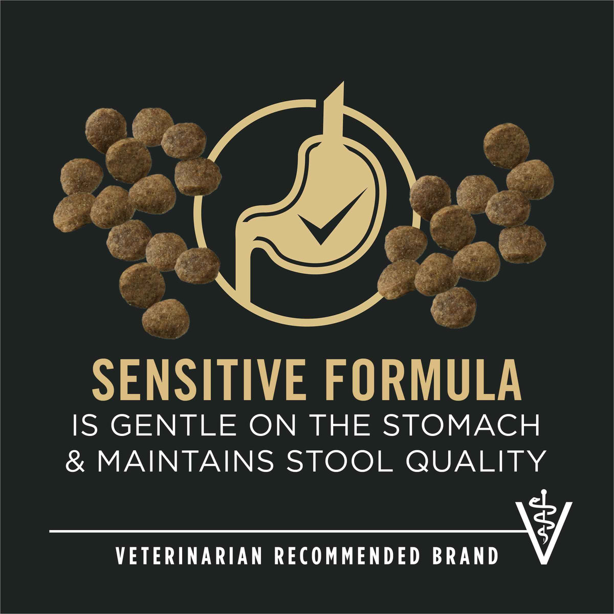 Purina Pro Plan Dry Puppy Food, Development Sensitive Skin & Stomach Salmon & Rice - 10.9 kg Bag (1 Pack) 🍁 All In One Marketplace Canada
