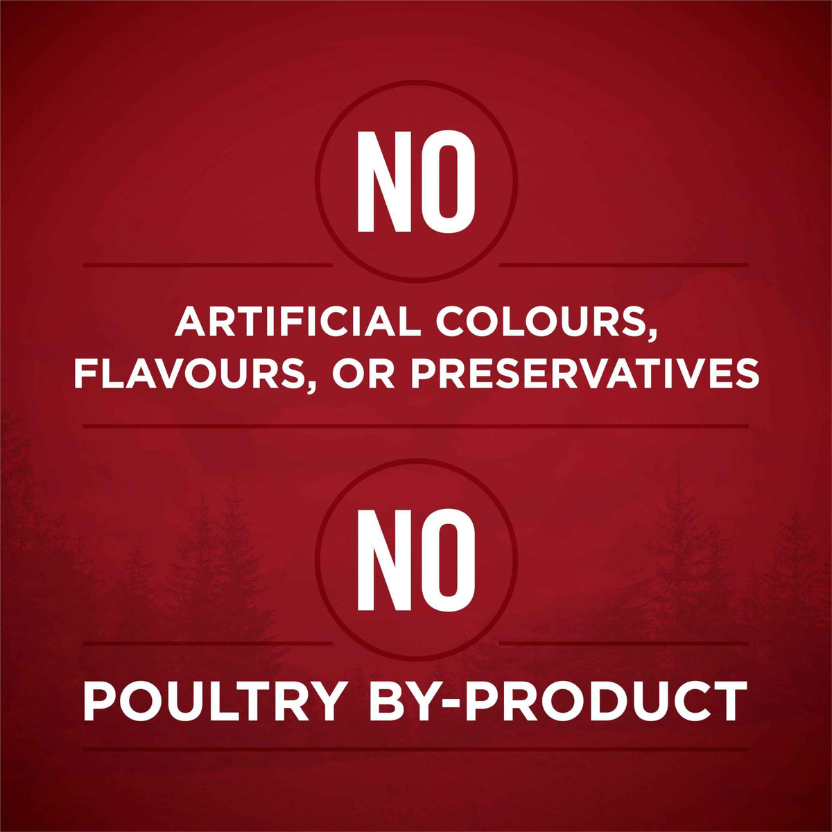Purina ONE True Instinct Wet Dog Food, in Gravy Variety Pack 368g (6 Pack) 🍁 All In One Marketplace Canada