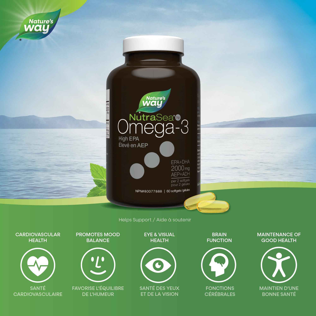 Nature's Way NutraSea HP Omega 3 Extra Strength Supplement with Fish Oil – Fresh Mint Flavour – Heart & Brain Support for Adults and Kids 9+ – 60 Softgels 🍁 All In One Marketplace Canada