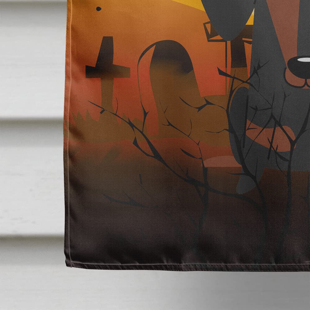 Caroline's Treasures BB4398CHF Halloween Dachshund Black Tan Flag Canvas House Size, Large, Multicolor