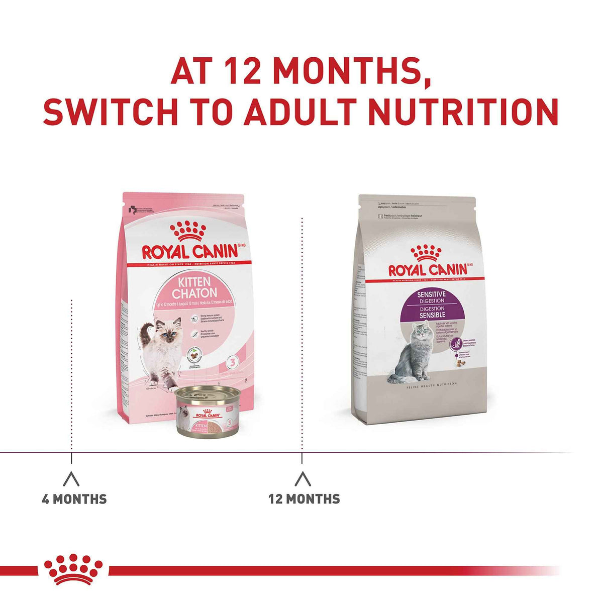 Royal Canin Adult Cat Sensitive Digestion Dry Adult Cat Food, 3.5 lb Bag 🍁 All In One Marketplace Canada