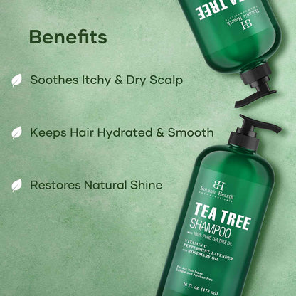 Botanic Hearth Tea Tree Shampoo for Dry & Itchy Scalp, Soothing & Hydrating Cleanser with Natural Tea Tree Oil, Sulfate & Paraben Free, For Men & Women, 16 fl oz 🍁 All In One Marketplace Canada