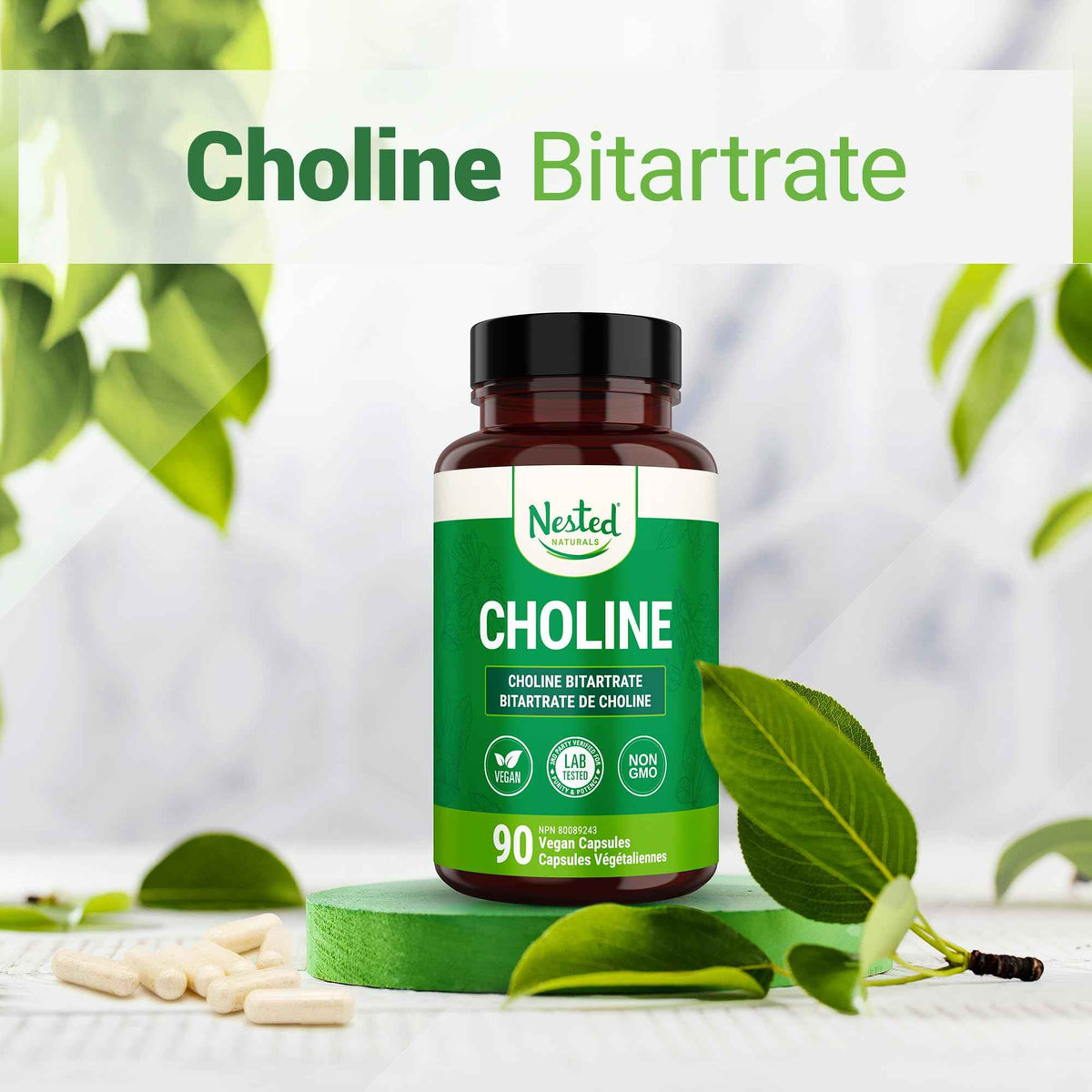 Nested Naturals Choline Bitartrate 500mg Per 2 Capsules | High Potency Choline Supplements | Supports Cognitive & Liver Function | 100% Vegan & Non-GMO Choline | 90 Vegan Capsules 🍁 All In One Marketplace Canada