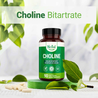 Nested Naturals Choline Bitartrate 500mg Per 2 Capsules | High Potency Choline Supplements | Supports Cognitive & Liver Function | 100% Vegan & Non-GMO Choline | 90 Vegan Capsules 🍁 All In One Marketplace Canada