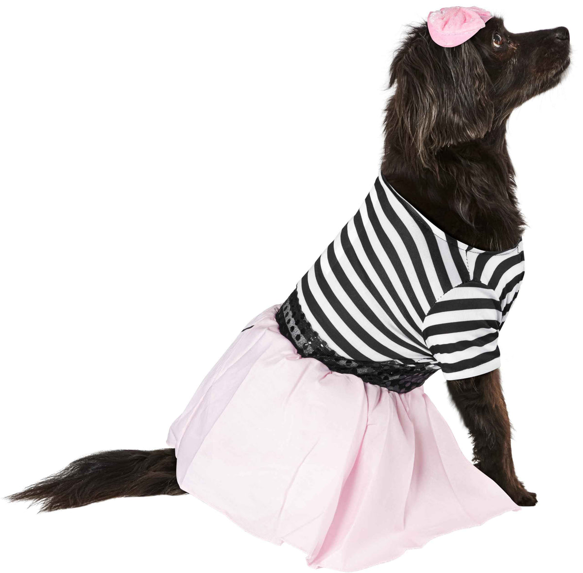 Rubies Costume Co Halloween Classics Collection Pet Costume, X-Large, 50s Girl Dress
