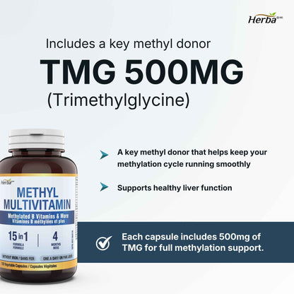 Herba Methylated Multivitamin with 500mg TMG & Methylated B Complex - 120 Capsules | 15 in 1 Formula | B Complex Vitamins for Women & Men including Methyl Folate Supplement | Vegan | Made in Canada 🍁 All In One Marketplace Canada