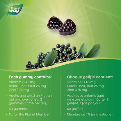 Nature's Way Sambucus Immune Support Gummies – Elderberry with Vitamin C & Zinc – Supports Immune Function and Relieves Cold & Flu Symptoms – Vegetarian, Gluten-Free for Adults & Kids 4+ – 60 Gummies 🍁 All In One Marketplace Canada