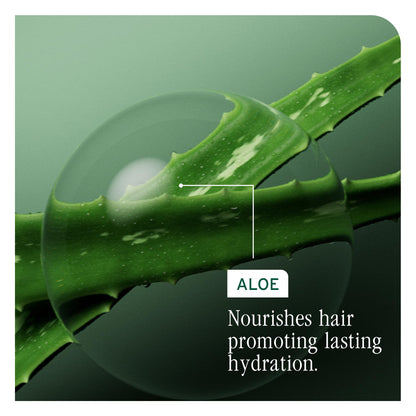 BIOLAGE Conditioner, HydraSource Detangling Solution, Detangles & Controls Static For Less Frizz & Fly-Aways, For Dry Hair, Paraben Free, Vegan 🍁 All In One Marketplace Canada