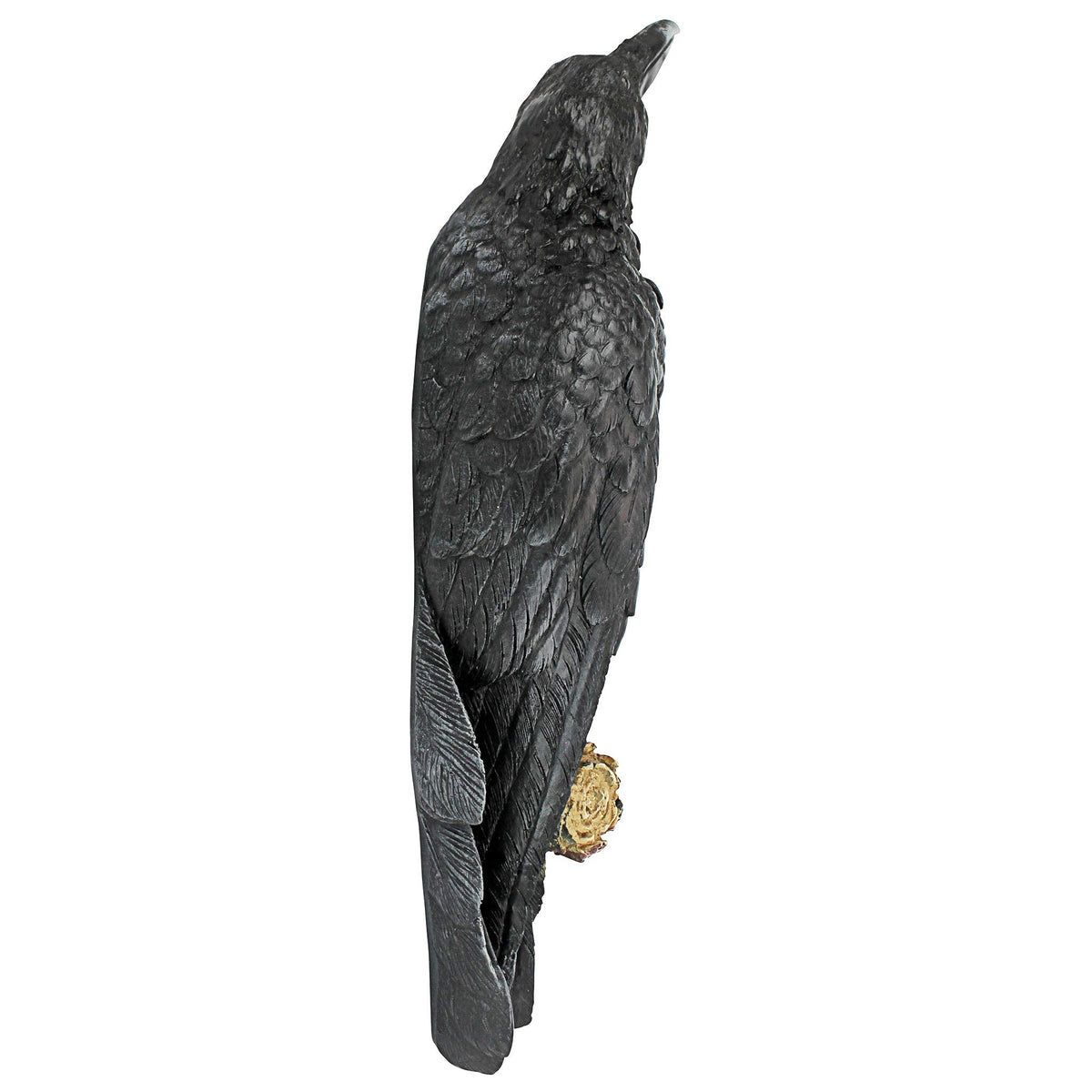Design Toscano The Raven's Perch Halloween Gothic Decor Wall Sculpture, 46 cm, Polyresin, Full Color