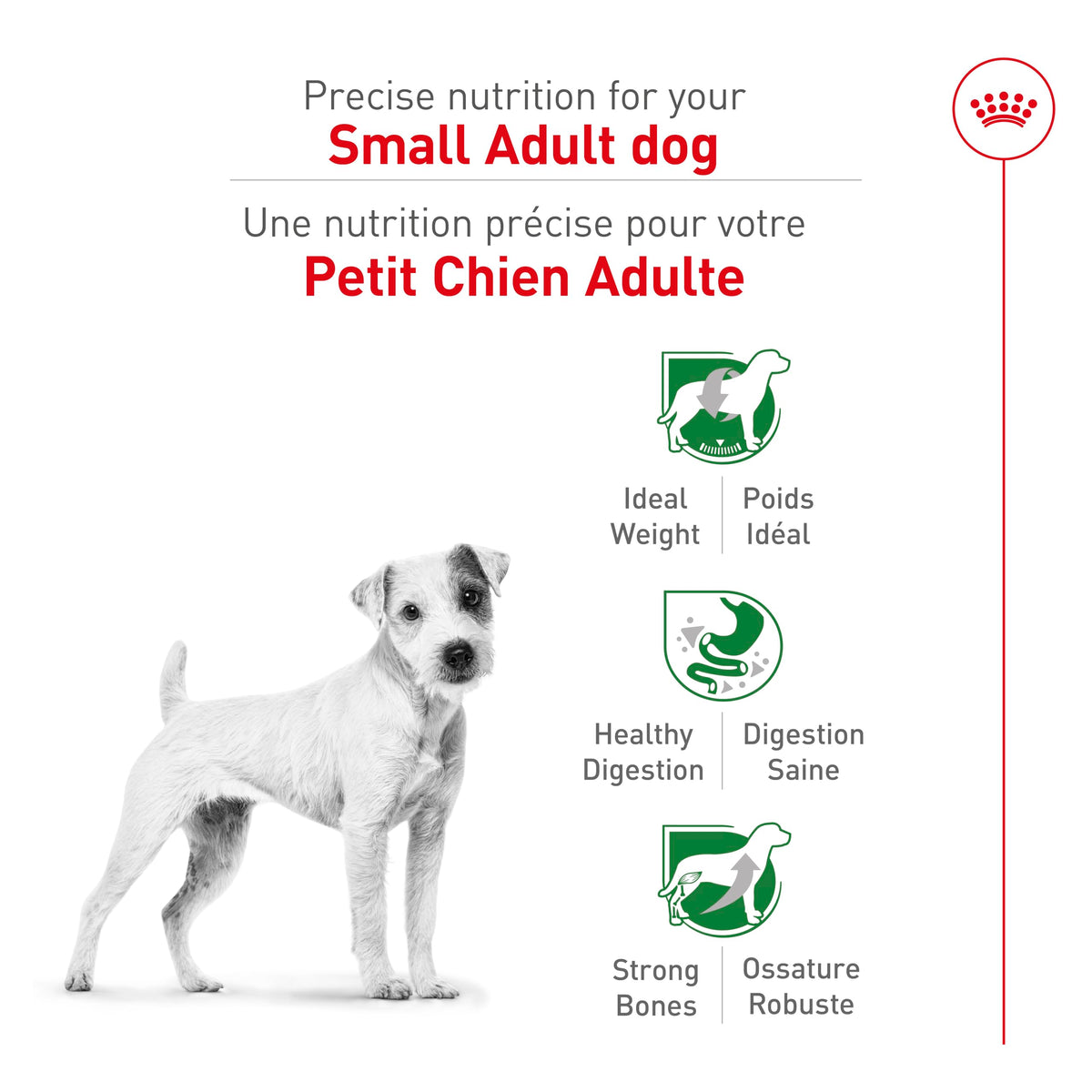 Royal Canin Size Health Nutrition Small Breed Dog Food Dry, Supports Healthy Weight, Digestive Health and Healthy Skin and Coat, 14 lb Bag 🍁 All In One Marketplace Canada