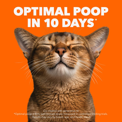 IAMS Proactive Health Adult Dry Cat Food, Salmon Flavour, 3.18kg 🍁 All In One Marketplace Canada