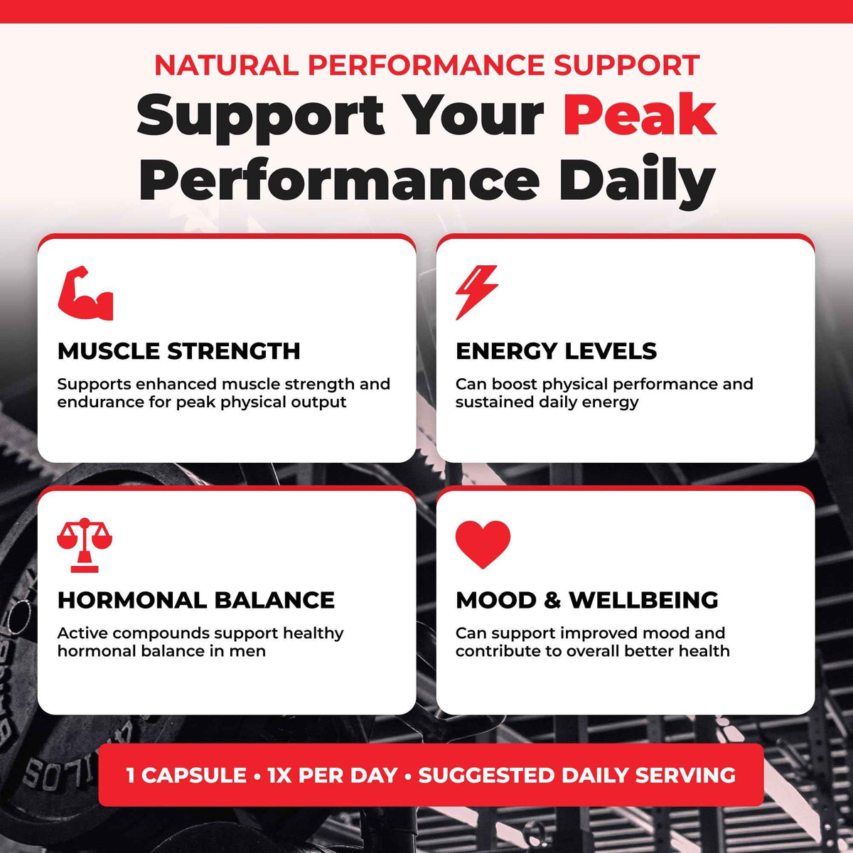 Nutratology® Tongkat Ali Supplement For Men | Canadian Made | 100:1 Extra Strength Tongkat Ali Extract + Black Pepper | Supports Male Vitality & Performance | 60 Capsules 🍁 All In One Marketplace Canada