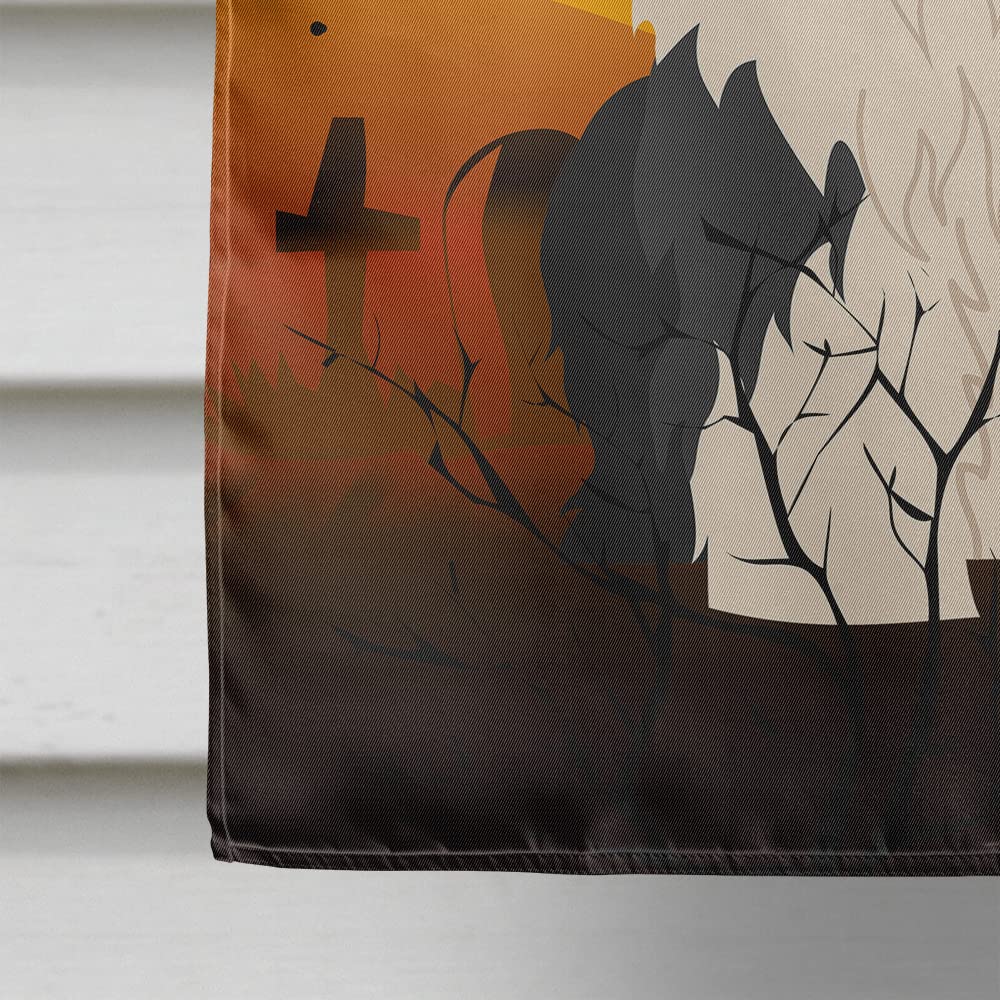 Caroline's Treasures BB4362CHF Halloween Old English Sheepdog Flag Canvas House Size, Large, Multicolor