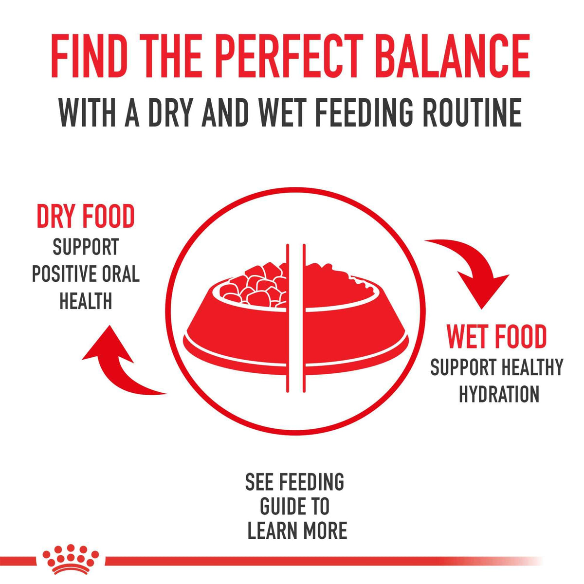 Royal Canin Appetite Control Spayed/Neutered 12+ Dry Adult Cat Food, 7 lb Bag 🍁 All In One Marketplace Canada