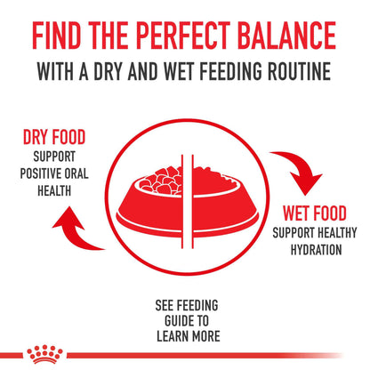 Royal Canin Appetite Control Spayed/Neutered 12+ Dry Adult Cat Food, 7 lb Bag 🍁 All In One Marketplace Canada