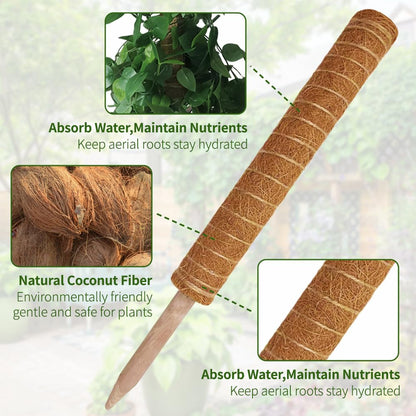 Moss Pole Plant Support Monstera - 5 Pack Coco Coir Moss Stick Plants Climber Support Indoor Monstera Stake for Climbing Plants Live House Potted, Vine, Pothos, Philodendron to Grow Upwards 🍁 All In One Marketplace Canada
