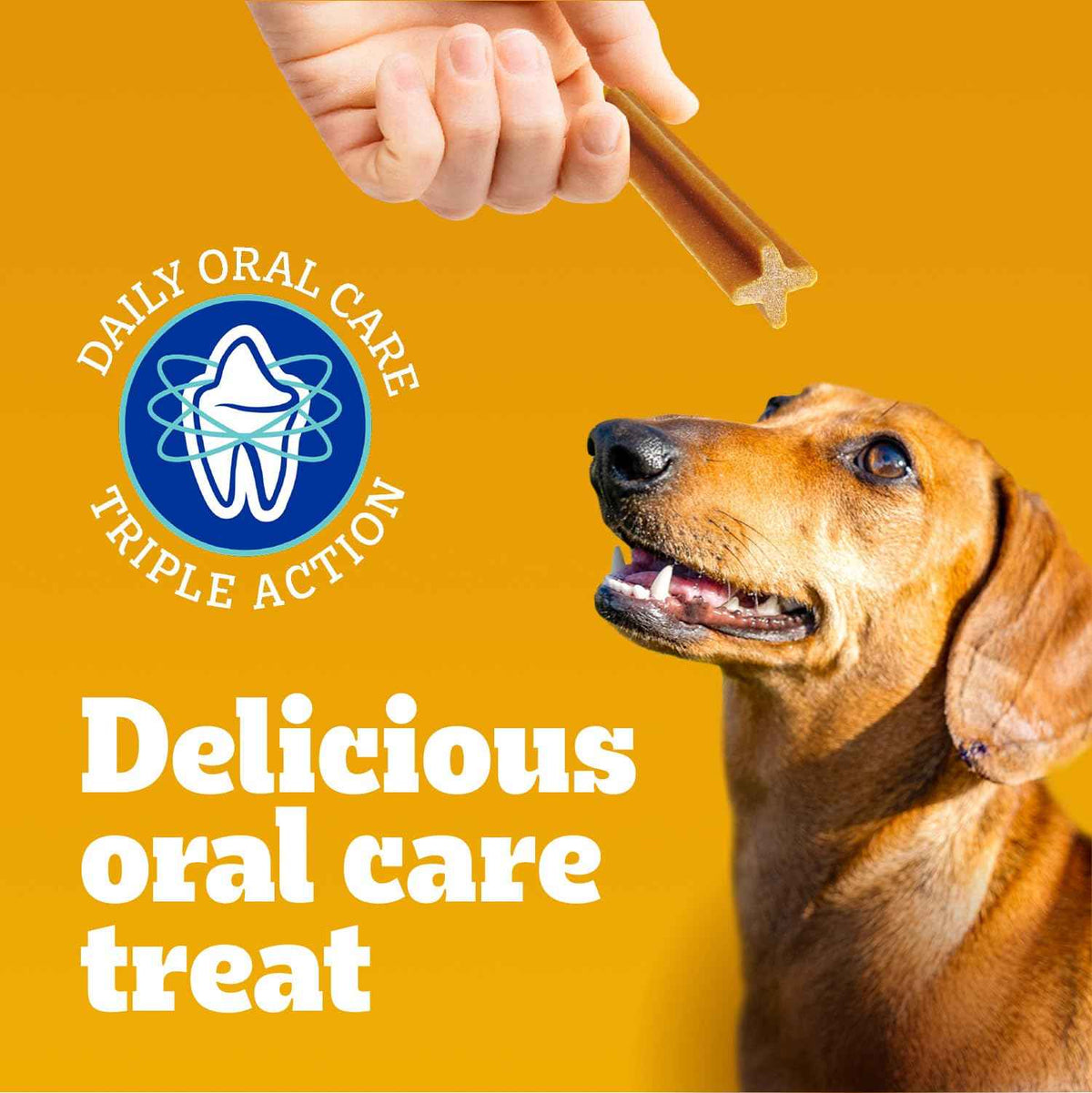 PEDIGREE DENTASTIX Medium Dog Dental Treats Fresh Flavour, 40 Sticks 972g 🍁 All In One Marketplace Canada