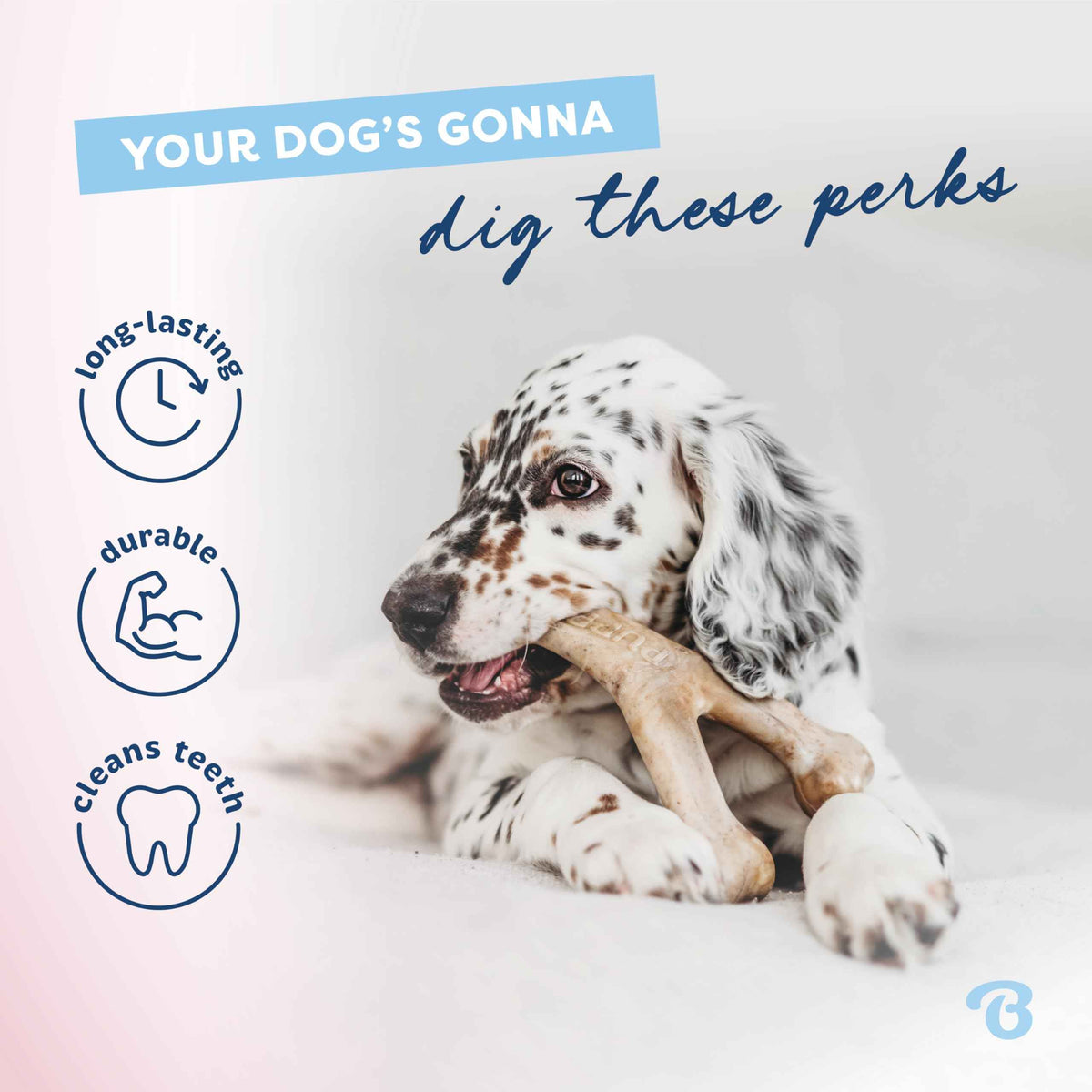 Benebone Puppy 2-Pack Dental Chew/Wishbone Dog Chew Toys, Real Bacon 🍁 All In One Marketplace Canada