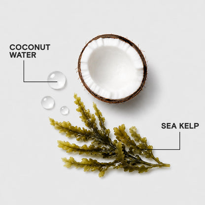Joico HydraSplash Hydrating Conditioner for Fine to Medium Hair, Moisturizing Dry Damaged Hair with Keratin & Coconut Oil 🍁 All In One Marketplace Canada