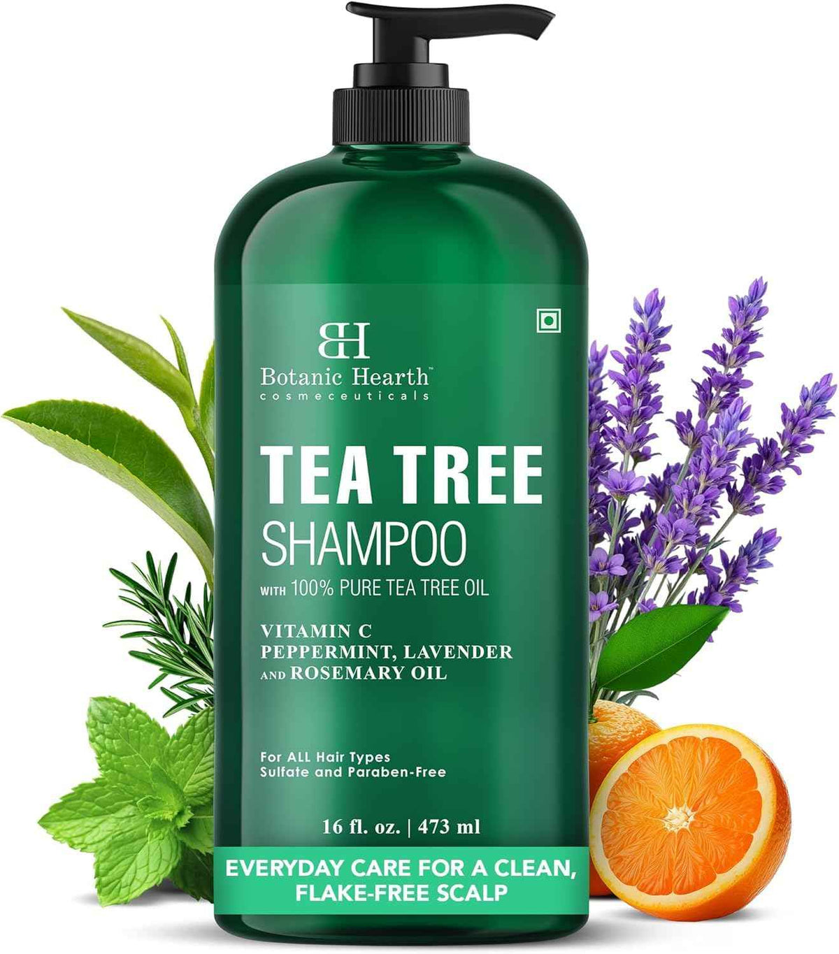 Botanic Hearth Tea Tree Shampoo for Dry & Itchy Scalp, Soothing & Hydrating Cleanser with Natural Tea Tree Oil, Sulfate & Paraben Free, For Men & Women, 16 fl oz 🍁 All In One Marketplace Canada