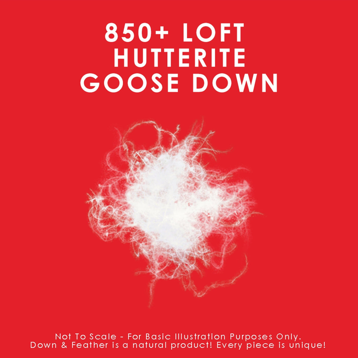 850 Loft Hutterite Goose Down Pillow