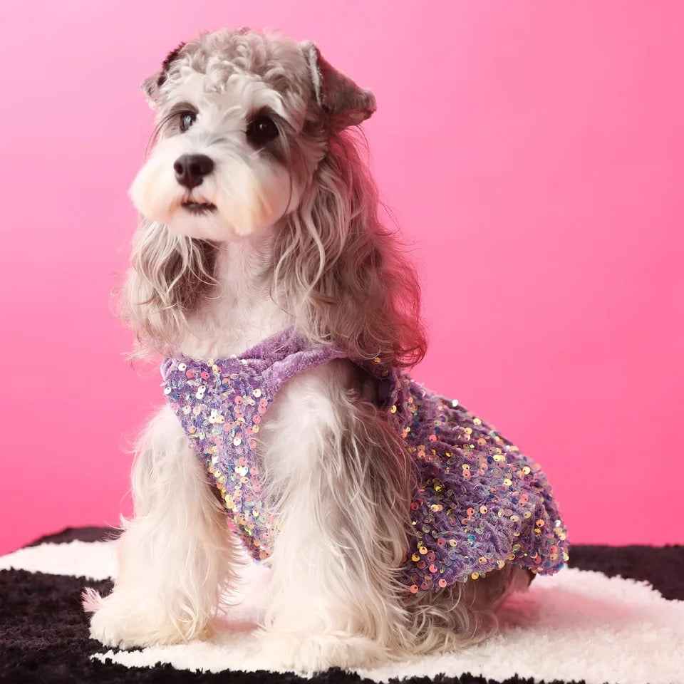 New Years Lover Sequin Dog Dress | Luxury Party Pet Dress
