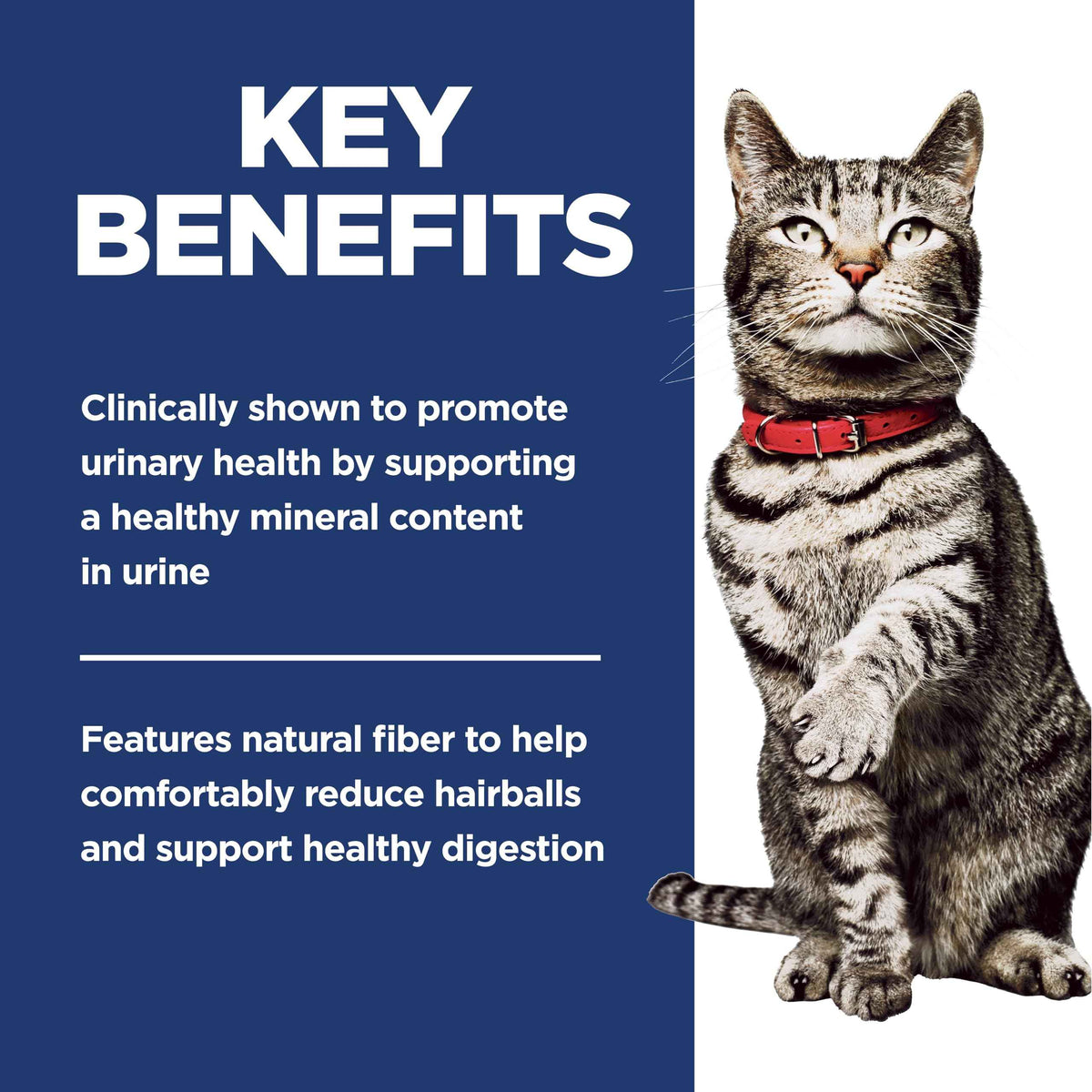 Hill's Science Diet Adult Urinary & Hairball Control Chicken Recipe Dry Cat Food 1.58 kg Bag 🍁 All In One Marketplace Canada