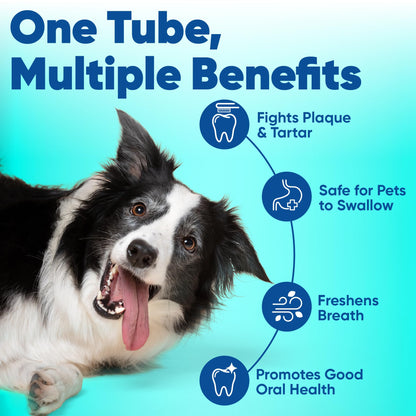 Virbac C.E.T. Enzymatic Toothpaste, Tartar Control, Seafood Flavor, 2.5 oz [packing may vary] 🍁 All In One Marketplace Canada