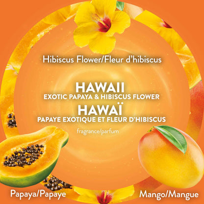 Air Wick Plug In Scented Oil Air Freshener Refills for Home – Infused with Essential Oils – 10 Count – Hawaii Tropical Paradise Scent – Mega Value Pack 🍁 All In One Marketplace Canada
