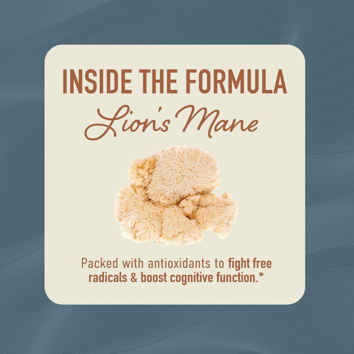 Lion’s Mane Supplement & Nootropic for Mental Clarity | 4 Month Supply | Performance & Memory Support | Antioxidant Rich & Immunomodulating Mushroom | Extra Strength Lions Mane 500mg | Non-GMO 120ct 🍁 All In One Marketplace Canada