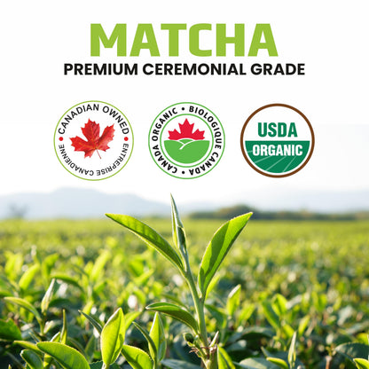 Organic Matcha Green Tea Powder – Ceremonial Grade – 50g Tin | Premium Japanese Green Tea | Smooth & Vibrant | Superfood for Lattes, Smoothies & Baking 🍁 All In One Marketplace Canada