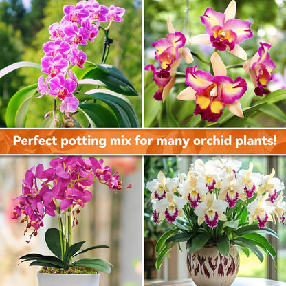 Riare 2L Orchid Potting Mix for Repotting- Orchids Repotting Kit Include Moss, Pine Bark, Perlite, Coco Peat- Premium Orchid Soil Medium for Indoor Potted Plants Root Ventilation & Expanding 🍁 All In One Marketplace Canada