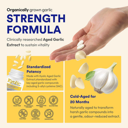Kyolic Formula 104 Aged Garlic Extract, Odourless Garlic, 360 Capsules 🍁 All In One Marketplace Canada
